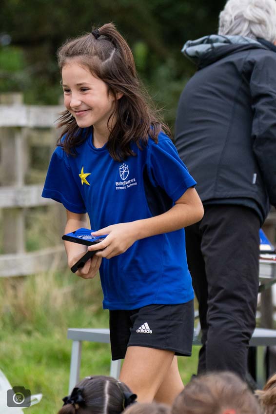 Presentation Link Pic