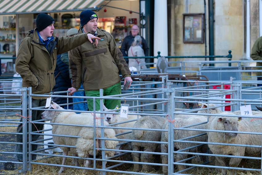 Uppingham Fatstock 2025 Photo