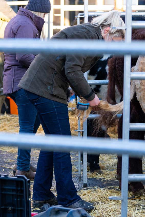 Uppingham Fatstock 2025 Photo