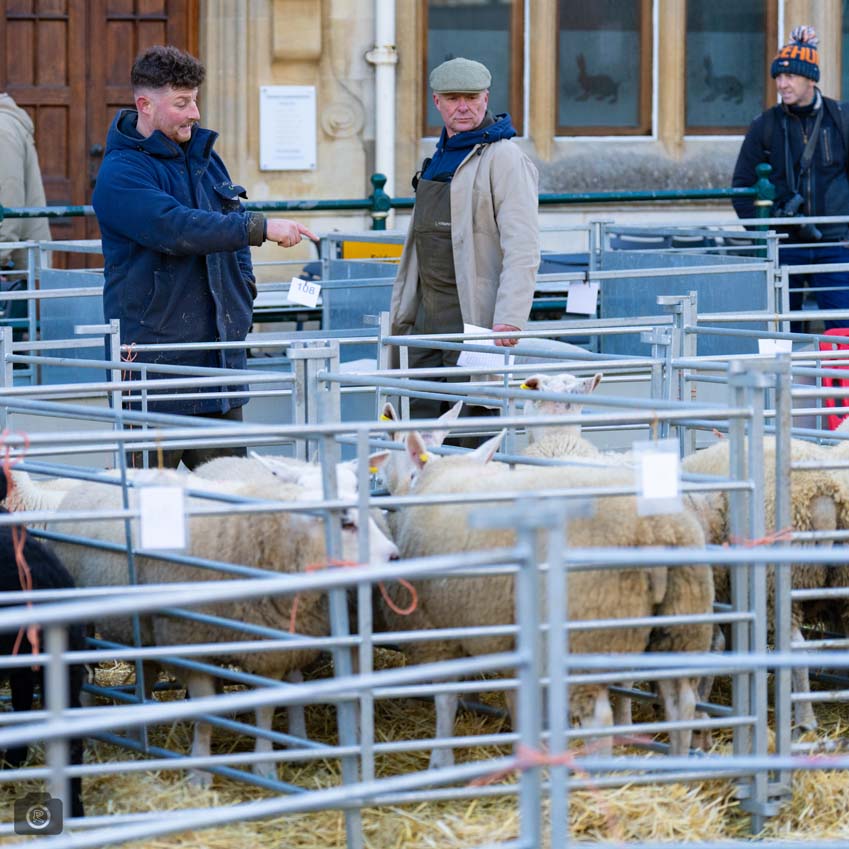 Uppingham Fatstock 2025 Photo