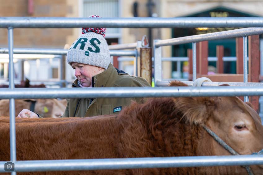 Uppingham Fatstock 2025 Photo