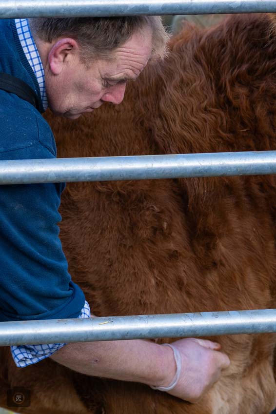 Uppingham Fatstock 2025 Photo