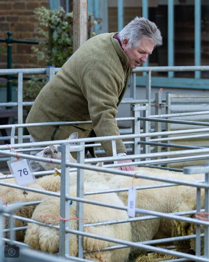 Uppingham Fatstock 2025 Photo