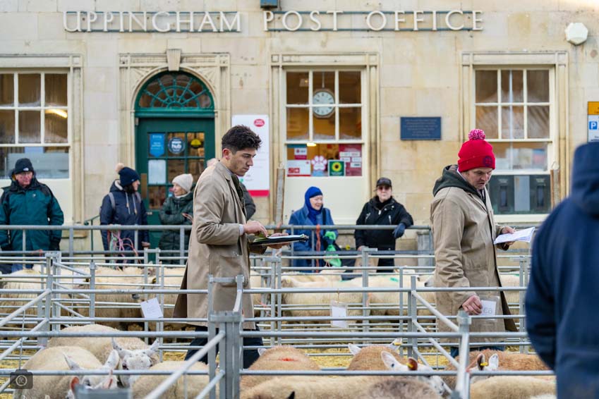 Uppingham Fatstock 2025 Photo