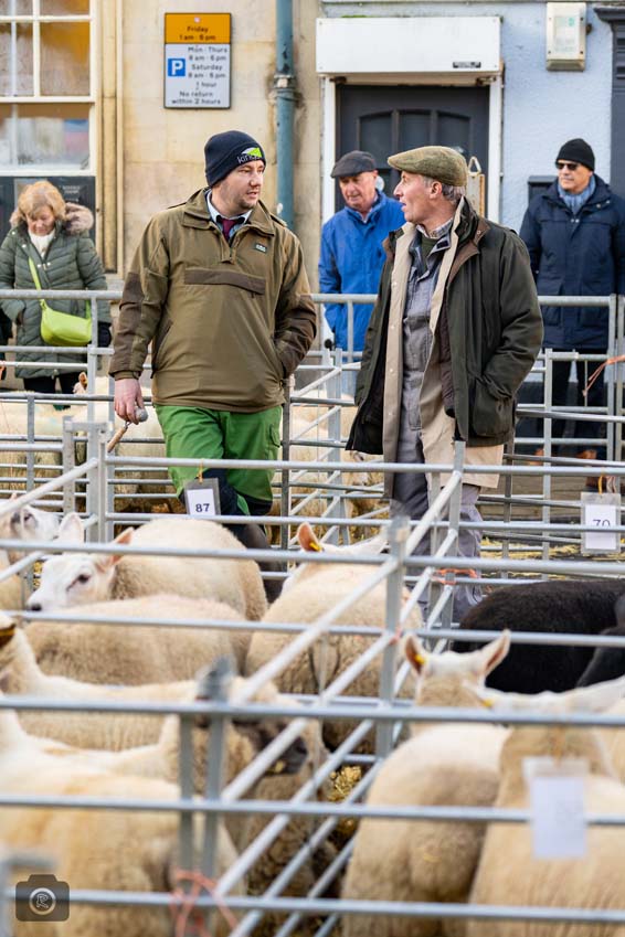 Uppingham Fatstock 2025 Photo