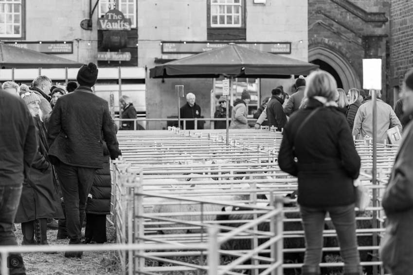 Uppingham Fatstock 2025 Photo