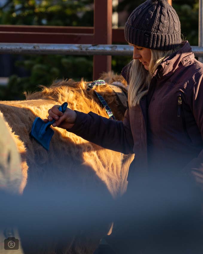 Uppingham Fatstock 2025 Photo