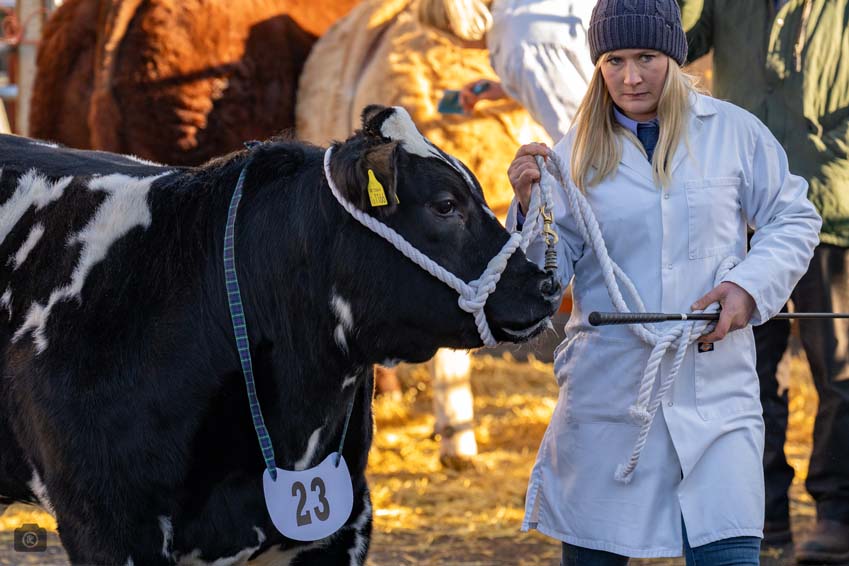 Uppingham Fatstock 2025 Photo