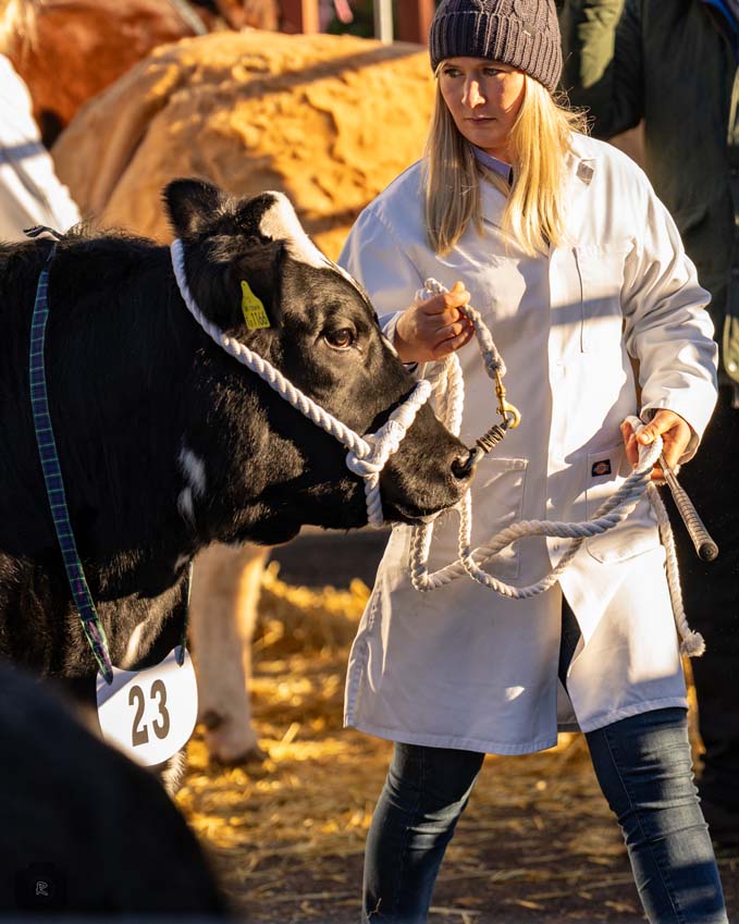 Uppingham Fatstock 2025 Photo