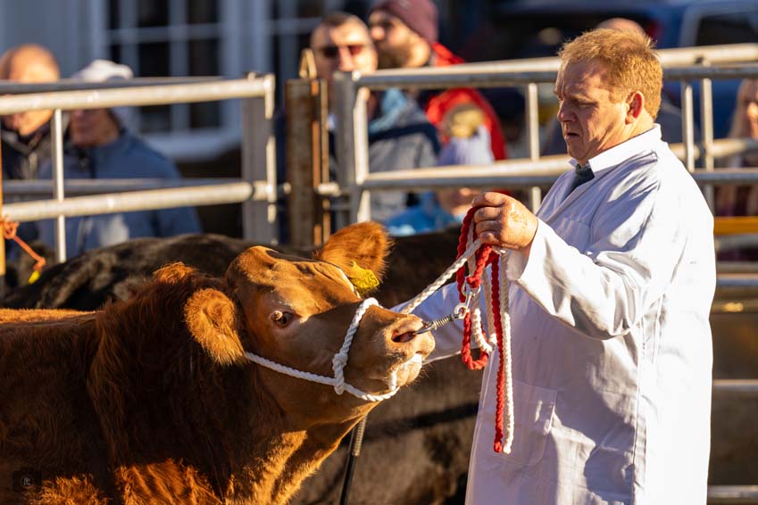 Uppingham Fatstock 2025 Photo