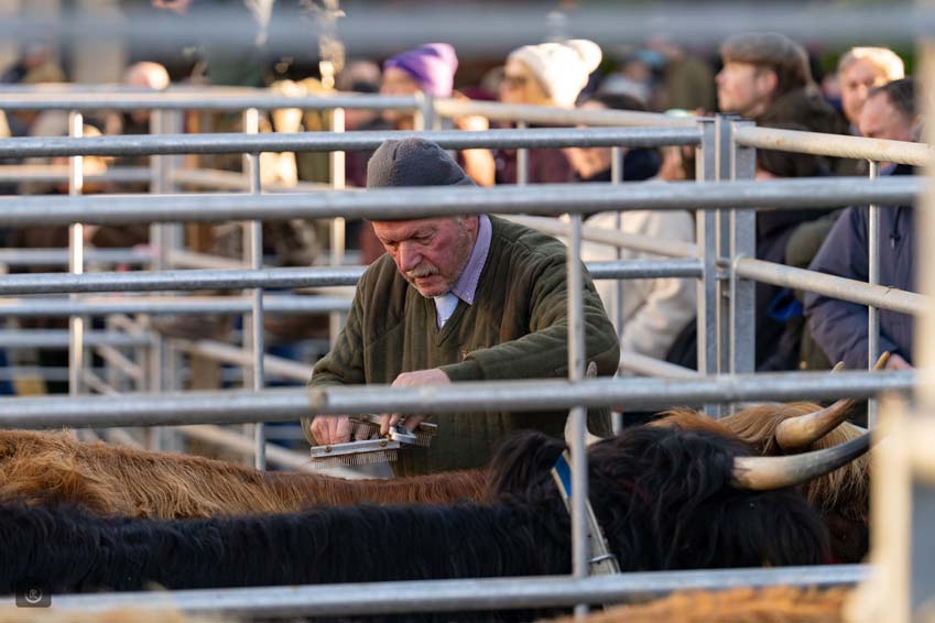 Uppingham Fatstock 2025 Photo