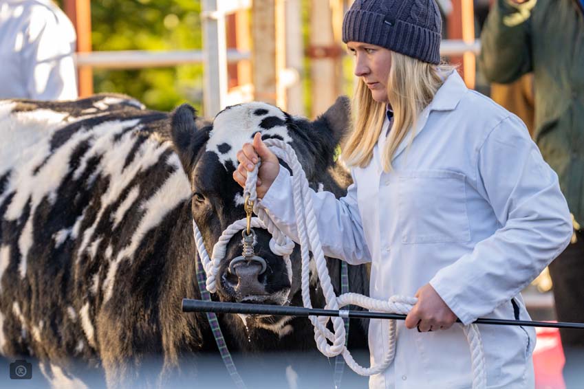 Uppingham Fatstock 2025 Photo