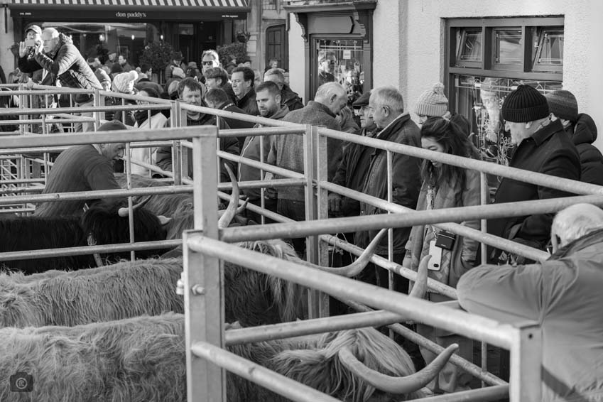 Uppingham Fatstock 2025 Photo