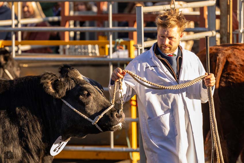 Uppingham Fatstock 2025 Photo