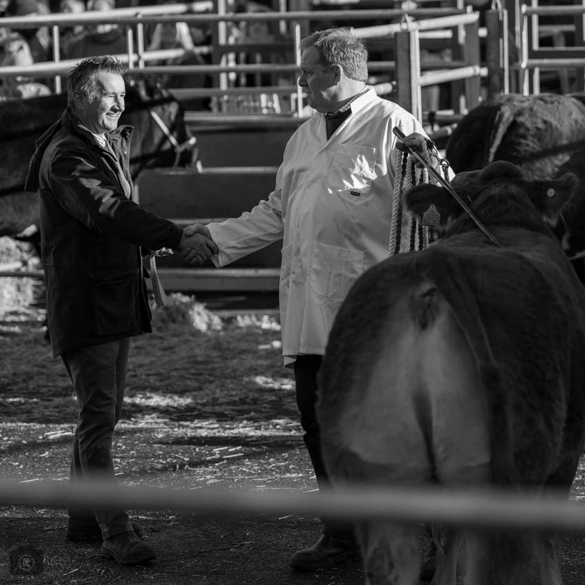 Uppingham Fatstock 2025 Photo