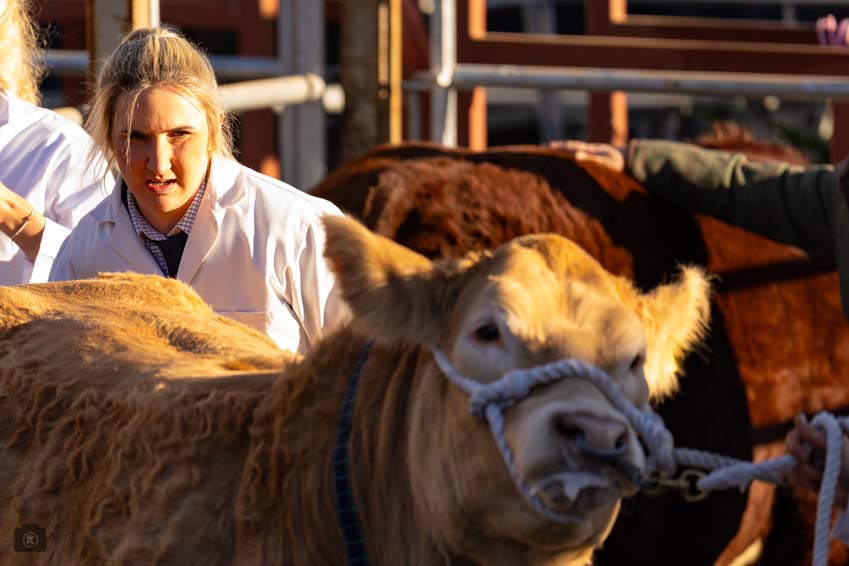 Uppingham Fatstock 2025 Photo