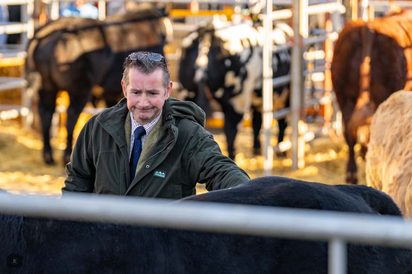 Uppingham Fatstock 2025 Photo