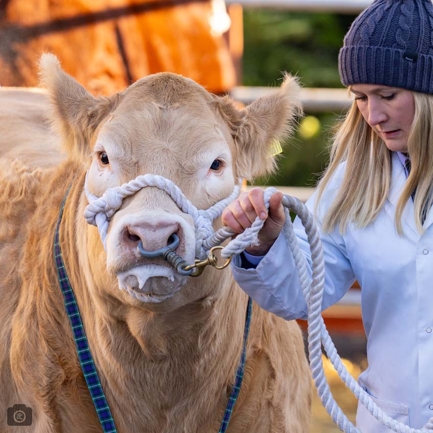 Uppingham Fatstock 2025 Photo