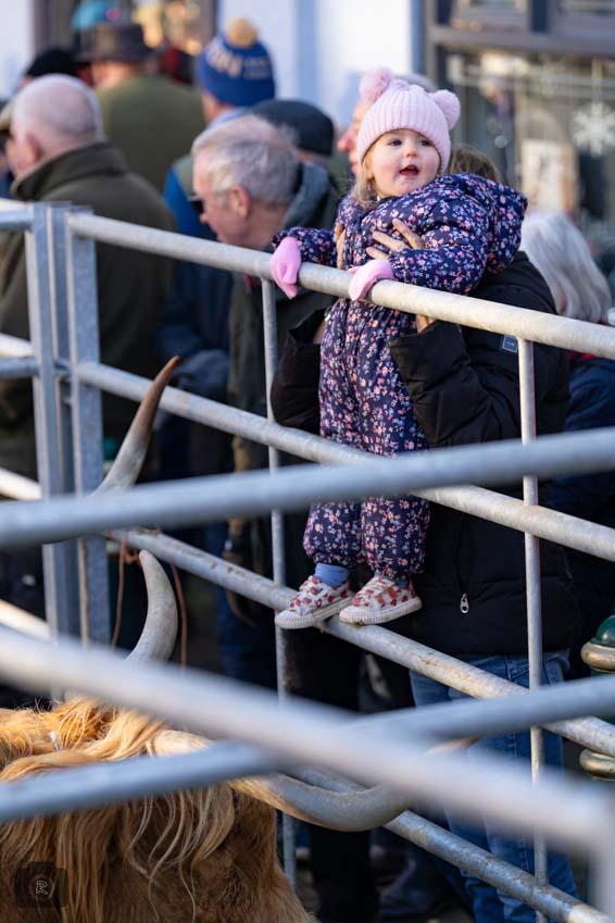 Uppingham Fatstock 2025 Photo