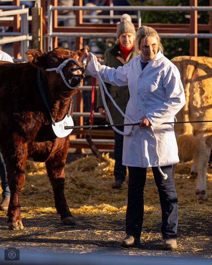 Uppingham Fatstock 2025 Photo