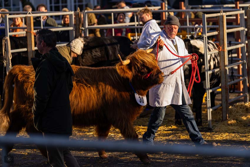 Uppingham Fatstock 2025 Photo