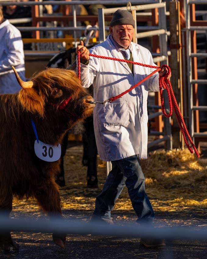 Uppingham Fatstock 2025 Photo