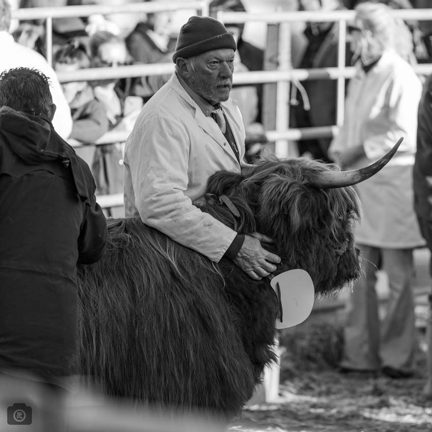 Uppingham Fatstock 2025 Photo