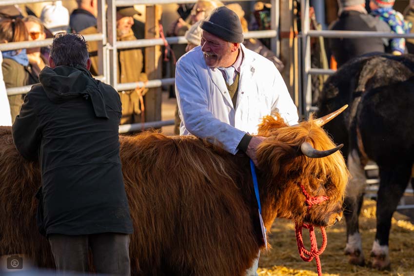 Uppingham Fatstock 2025 Photo