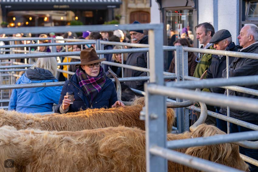 Uppingham Fatstock 2025 Photo