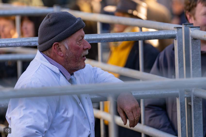 Uppingham Fatstock 2025 Photo