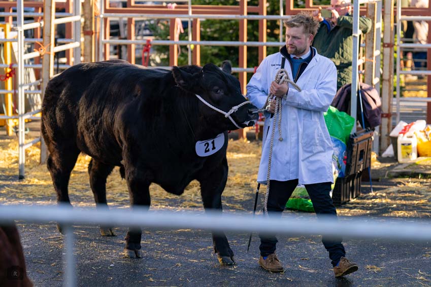 Uppingham Fatstock 2025 Photo