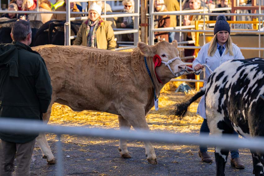 Uppingham Fatstock 2025 Photo