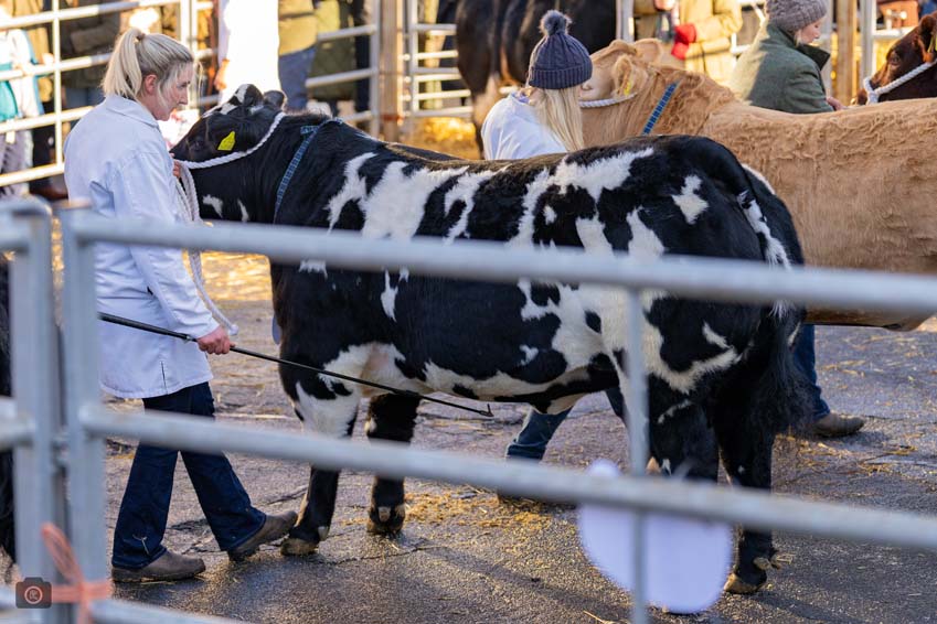 Uppingham Fatstock 2025 Photo