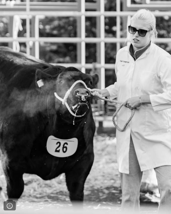 Uppingham Fatstock 2025 Photo