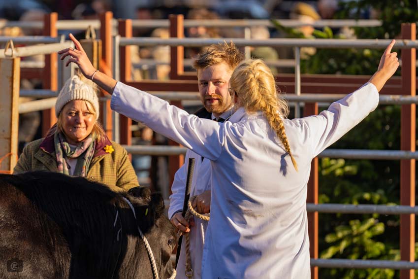 Uppingham Fatstock 2025 Photo