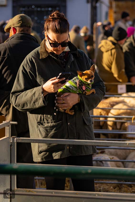 Uppingham Fatstock 2025 Photo